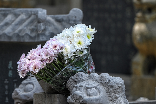泉城让生命回归自然，山东省济南市上万名逝者参加生态安葬！